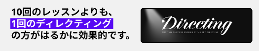 ディレクティングバナー